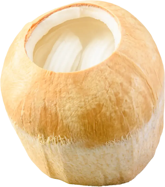 SAS Coconut
