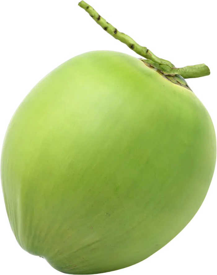 HoneyCoco